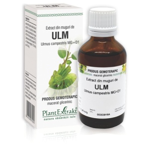 Extract din muguri de Ulm, 50 ml, Plant Extrakt