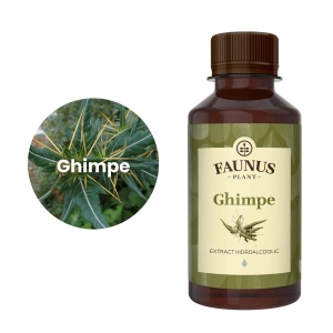 Faunus Tinctura de Ghimpe 200 ml – sanatatea prostatei si a aparatului urinar - Img 5