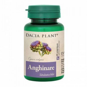 Anghinare x 60cp (Dacia Pl)