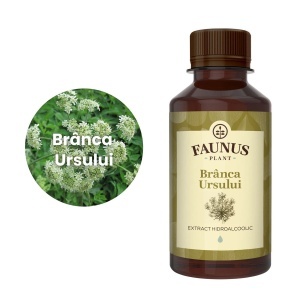 Branca Ursului – Tinctura 200 ml, Faunus - Img 5