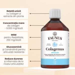 Colagenus Articulatii colagen lichid, 500 ml, Faunus Plant - Img 3