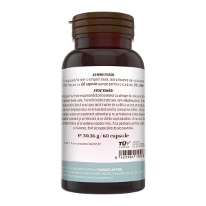 Colagenus Capsule – Colagen tip II, articulatii, 60 capsule, Faunus Plant - Img 15