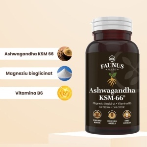 Faunus Ashwagandha Ksm-66, 60 Capsule - Img 4