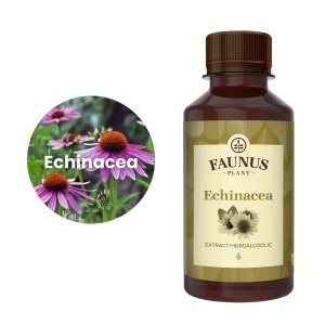 Faunus Tinctura de echinacea, extract hidroalcoolic, 200 ml - Img 5
