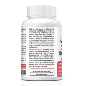 Glucosamine & Chondroitin & Acid Hialuronic, 60cps (Zenyth) - Img 2