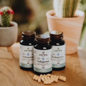 Colagenus capsule cu colagen tip II nativ, pentru articulatii, 60 capsule, Faunus Plant - Img 6