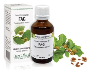 Extract muguri fag x 50ml (PLX)