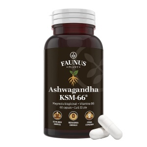 Faunus Ashwagandha Ksm-66, 60 Capsule - Img 1