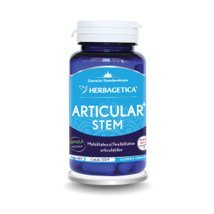 Articular Stem, 30 capsule, Herbagetica