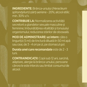 Branca Ursului – Tinctura 200 ml, Faunus - Img 7