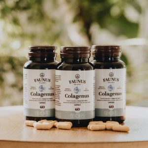 Colagenus capsule cu colagen tip II nativ, pentru articulatii, 60 capsule, Faunus Plant - Img 7