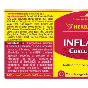 Herbagetica Inflanat Curcumin95, pachet 2 x 60 capsule - Img 2
