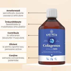 Colagenus Articulatii Forte 500ml – Colagen lichid concentrat, Faunus Plant - Img 3