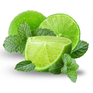 Creatina Monohidrata (Lemon-Twist), 450g, Adams - Img 2