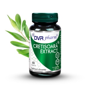 Cretisoara extract x60cps (DVRPharm)