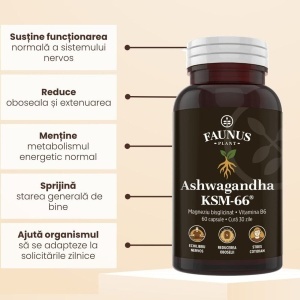 Faunus Ashwagandha Ksm-66, 60 Capsule - Img 5
