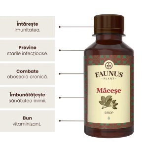 Faunus Sirop Macese, 200ml - Img 2