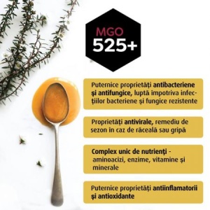 Miere de Manuka MGO 525+, 500 g, Melora - Img 2