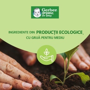 Piure natural de prune Gerber 80 g - primul piure pentru bebelusi - Img 6