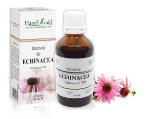 Tinctura echinacea x 50ml (PLX)