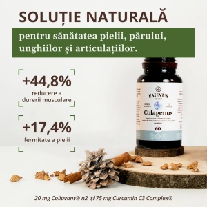 Colagenus capsule cu colagen tip II nativ, pentru articulatii, 60 capsule, Faunus Plant - Img 9