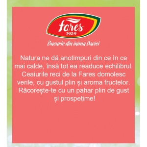 Fares Ceai Rece cu Merișoare și Frăguțe, 12 plicuri - Img 4