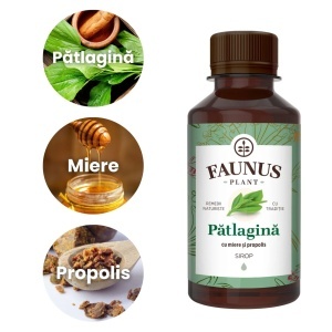 Faunus Sirop Patlagina Cu Miere Si Propolis, 200ml - Img 2