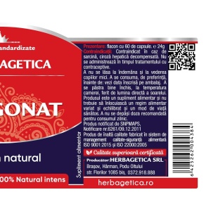 Herbagetica Alergonat, pachet 2 x 60 capsule - Img 3