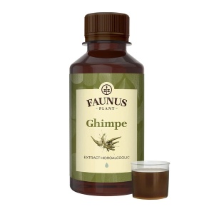 Faunus Tinctura de Ghimpe 200 ml – sanatatea prostatei si a aparatului urinar