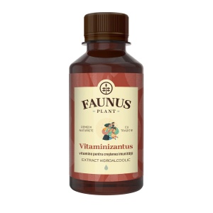 Faunus Tinctura Vitaminizantus cu catina, macese, echinacea si urzica, 200 ml - Img 2