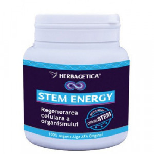 Fluxstem Energy x 250ml (Herbagetica)