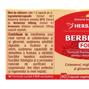 Herbagetica Berberina Forte, pachet 2 x 60 capsule - Img 2