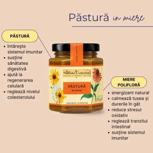 Pastura in Miere Albina Carpatina 200g – supliment apicol natural cu efect tonic si revitalizant - Img 2