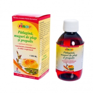 Sirop cu muguri de brad, cu pătlagină și propolis, 200 ml, Elidor