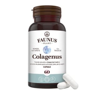 Colagenus capsule cu colagen tip II nativ, pentru articulatii, 60 capsule, Faunus Plant