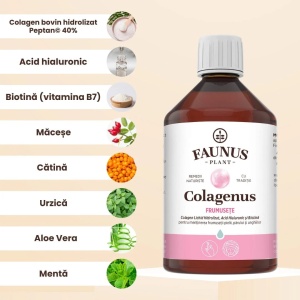 Colagenus Frumusete colagen lichid cu acid hialuronic si biotina, 500 ml, Faunus Plant - Img 3