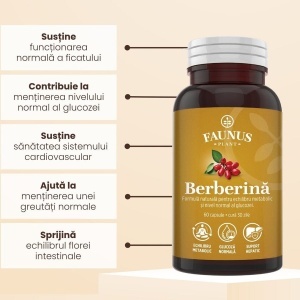 Faunus Berberina, 60 Capsule - Img 5