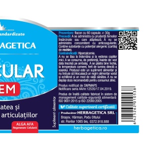 Herbagetica Articular Stem, 60 capsule + 10 capsule cadou - Img 3