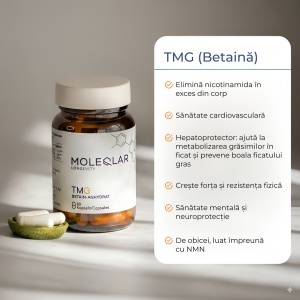 TMG Betaină MoleQlar – 500 mg Trimetilglicină | 60 capsule - Img 3