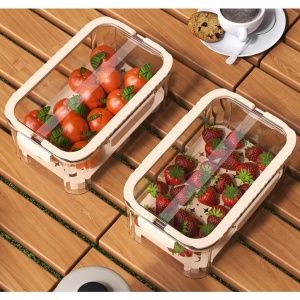 Cutie pentru Depozitare Alimente, Flippy, de Uz Casnic, 2 Compartimente, Zona pentru Gheata, Mentinere Fresh, cu Maner, Material PET, 23x15x10.8 cm, Bej - Img 13