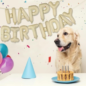 Set 25 de Baloane din Folie Metalizata si Latex, Flippy, Figurine 2 Stele, 4 Baloane Confetti, 13 Litere, 6 Latex, Model Happy Birthday, Tema Aniversare, 40 cm, Ambalaj Individual, Pai Inclus, Umflare cu Aer sau Heliu, Bej - Img 5