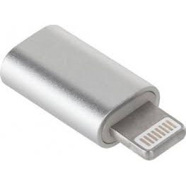 Adaptor Type C (mama) to Lightning (tata) cu Agatatoare Breloc inclusa, Argintiu - Img 3