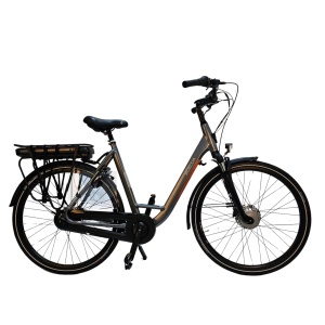 Bicicleta Electrica Stella Livorno Dama FDST RTE 2.0 - 28 Inch, L, Gri - Img 3