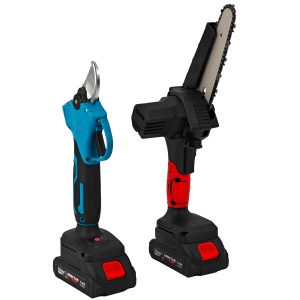 Set foarfeca electrica & mini-drujba cu 2 acumulatori DDT-CRISTAL, 24 V, 2 Ah, incarcator, accesorii incluse - Img 3
