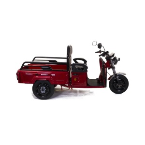 Triciclu Electric Cu Remorca Rotakt Nautilus 1600W 25 km/h Autonomie 44 km Baterie plumb-acid 60V 32Ah Greutate maxima 364 kg, Fara permis - Img 1