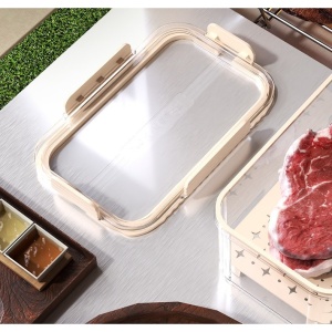 Cutie pentru Depozitare Alimente, Flippy, de Uz Casnic, 2 Compartimente, Zona pentru Gheata, Mentinere Fresh, cu Maner, Material PET, 23x15x10.8 cm, Bej - Img 15