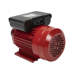 Motor electric monofazat Troian 2.5 kW, 3000 Rpm