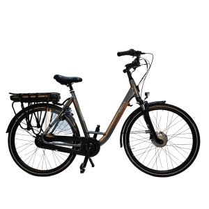 Bicicleta Electrica Stella Livorno Dama FDST RTE 2.0 - 28 Inch, L, Gri - Img 2