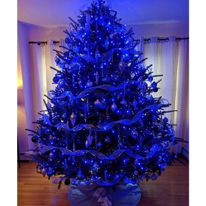 Instalatie de Craciun cu Baterii Tip Liniar, 2 jocuri de lumini, Fir transparent 1 m 10 LED -uri, Albastru - Img 7