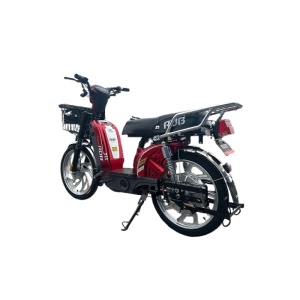Scuter electric RDB Dunărea 450W - Img 3
